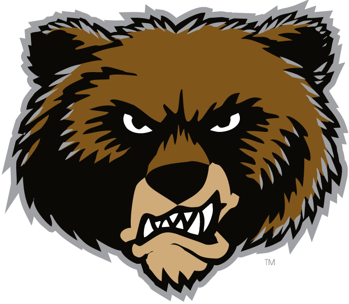 Montana Grizzlies 1996-Pres Alternate Logo diy iron on heat transfer